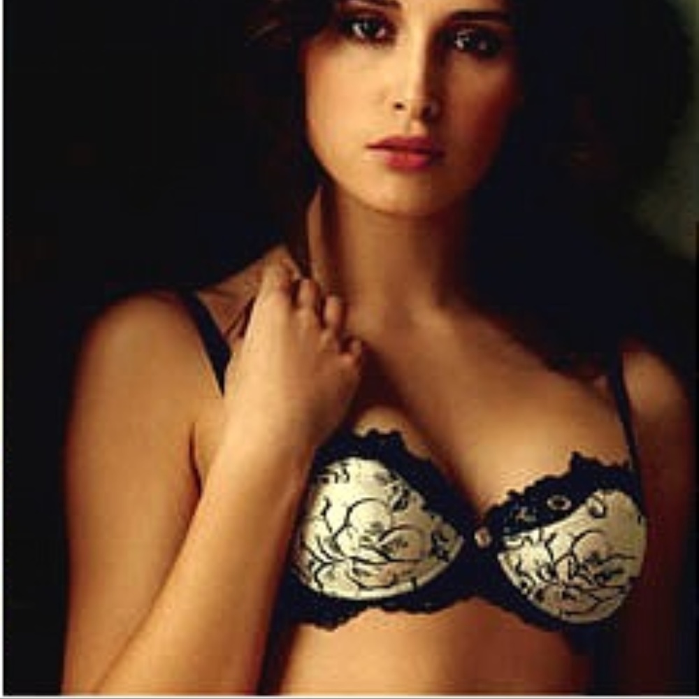 Lise Charmel Ombre Et Lumiere Demi Bra